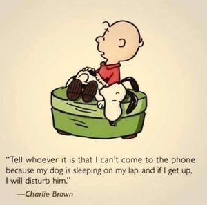 Meet your Posher, Carol